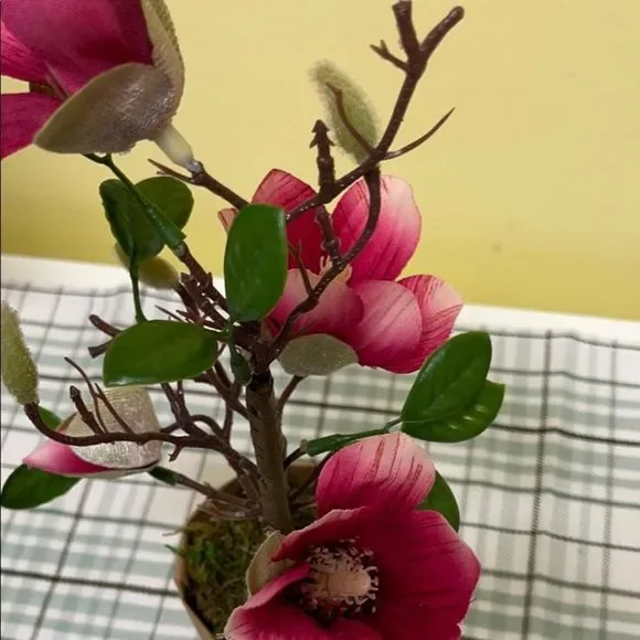 Target “ pink Magnolia “ mini tree - Picture 3 of 3